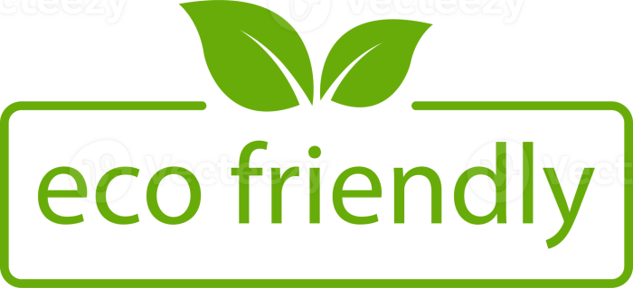 Eco-Friendly Tourism Saint Croix Caribbean A Sustainable Paradise