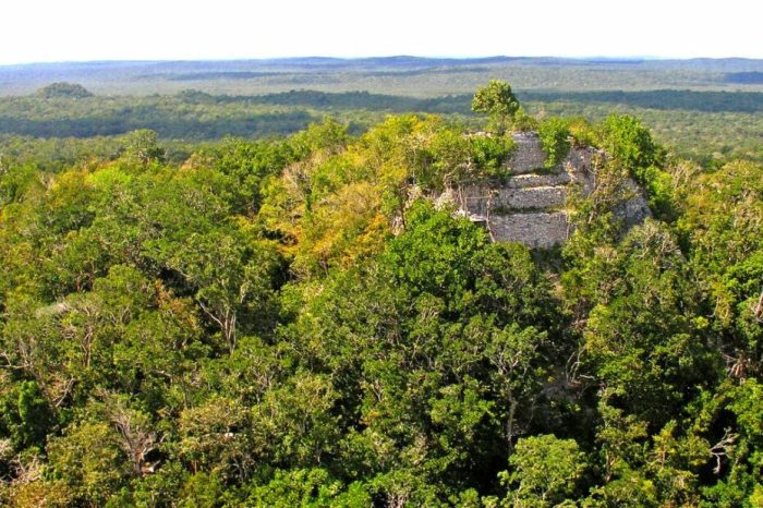 Exploring el mirador guatemala mysterious mayan ruin
