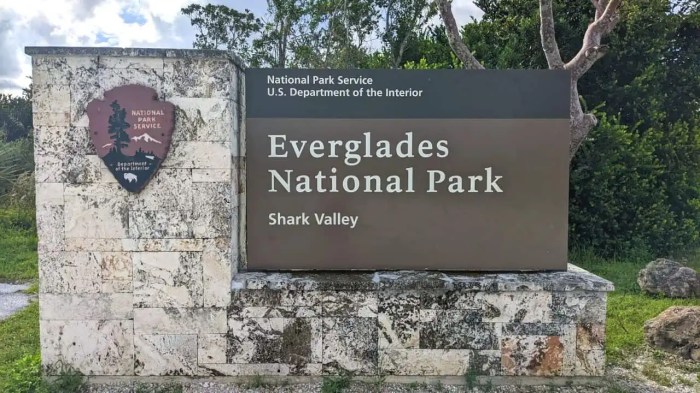 Top things to do in everglades national park