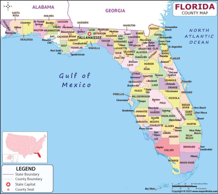 Florida on a Budget Your Guide