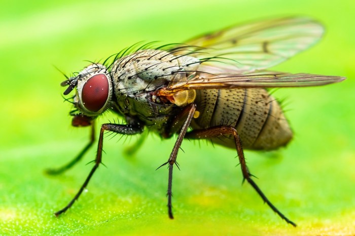 Fly Fishing Near Cities Travel Trend Urban Angling