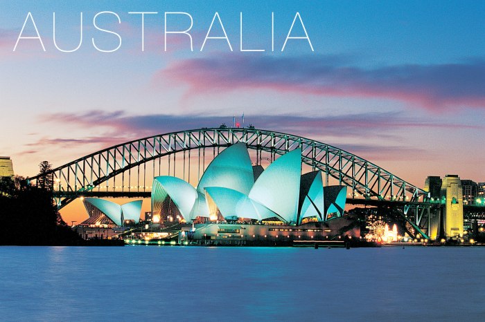 Australia Coral Planting Coronavirus Impact