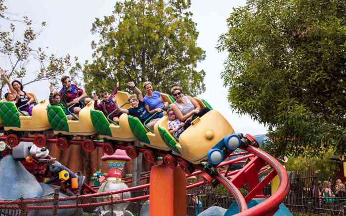 Attractions amusement parks disneyland ride