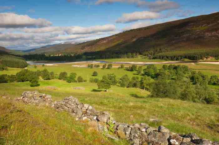 Cairngorms national park guide