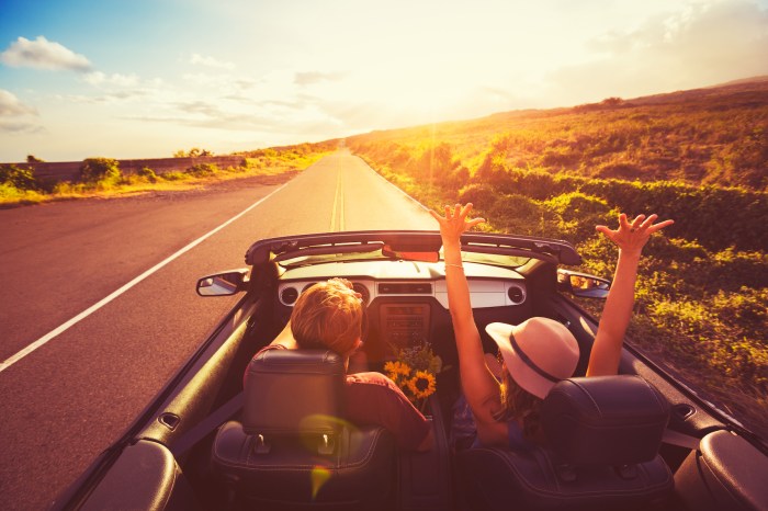 Trip ideas new zealand places locals