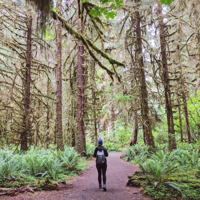 How i save hundreds of dollars around the world travel hack