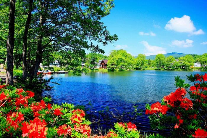 Trip Ideas Nature Travel, Cherry Blossoms Washington