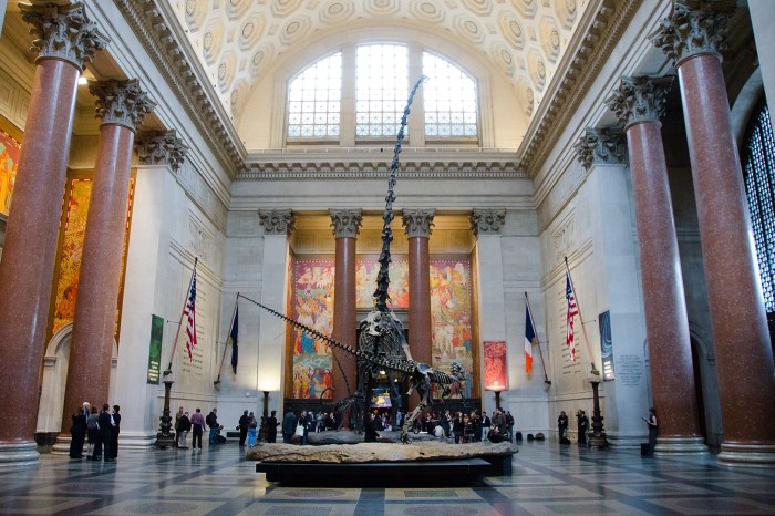 Best Things to Do in NYC A Complete Guide