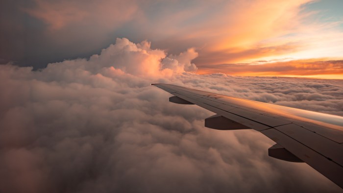 Tiktok flight booking empty row