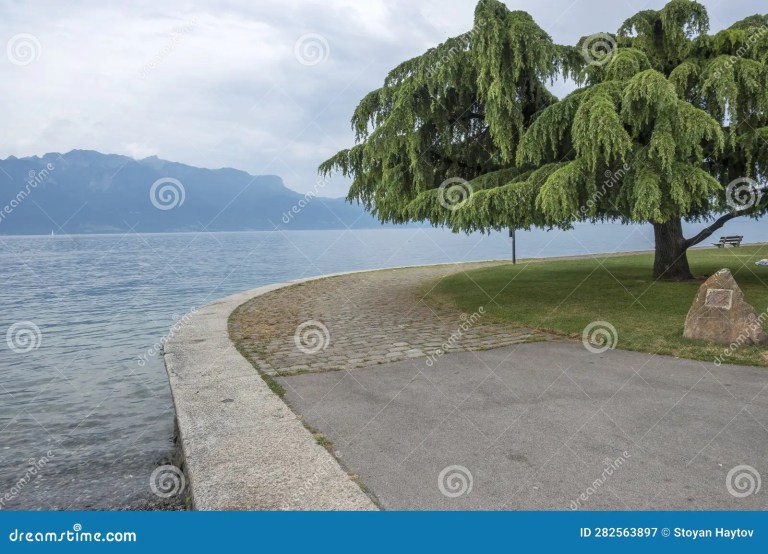 Vevey wining and dining on lake genevas shores