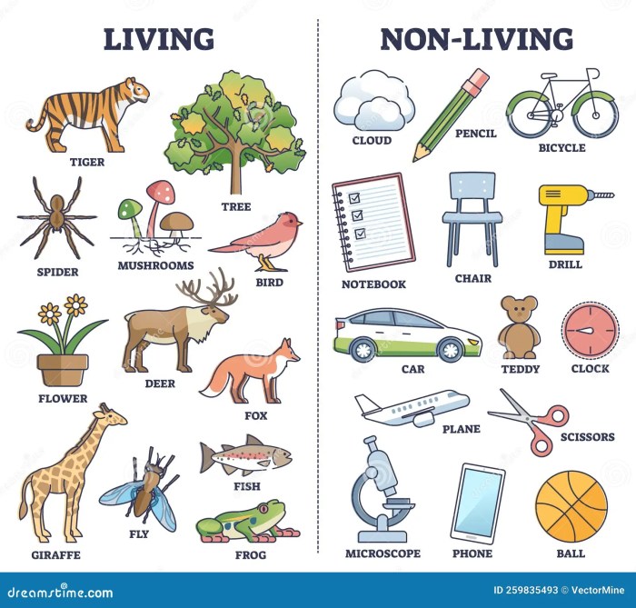 Delhi Summer Fun Things to Do