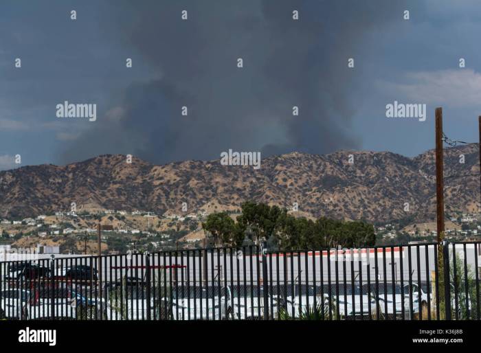 LA Fires Impact on LAX, Burbank, & More