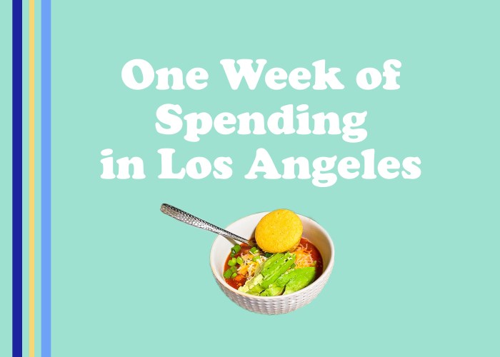 Spending diaries what i spent oslo on a budget
