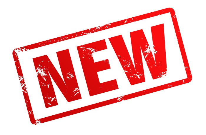 New camper vans trailers