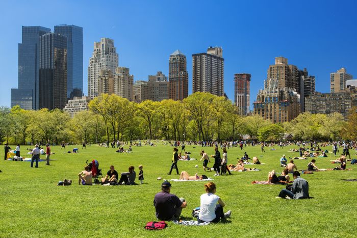 Best things to do in new york city