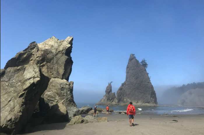 Guide to olympic national park