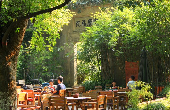 Longjing tea hangzhou china