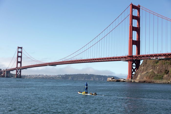 Authorities Consider Golden Gate Bridge Tolls A Deep Dive