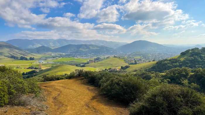 The Best Pacific Coast Highway Road Trip Itinerary (West Coast Stops in ... Pacific coast paradise route named best road trip on usa west coast