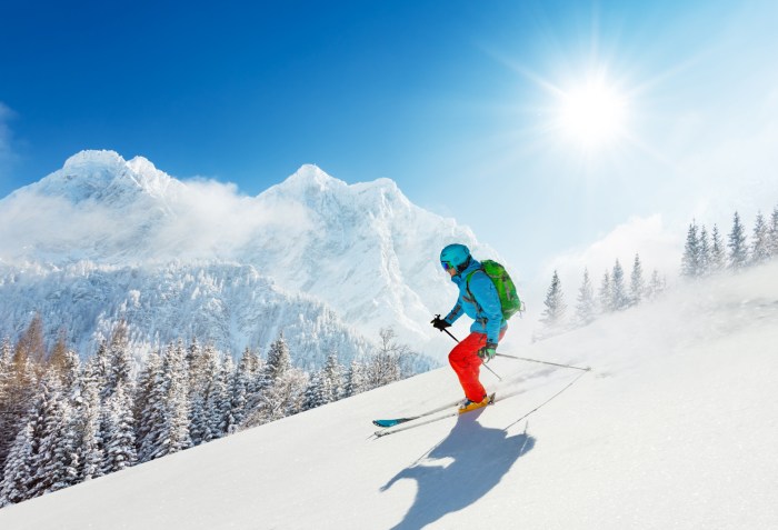Ski Lodge Airport Lounge White Plains A Winter Escape