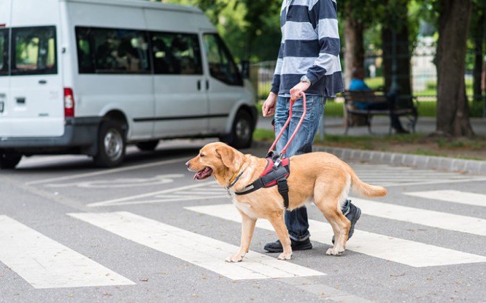 How blind travelers see the world