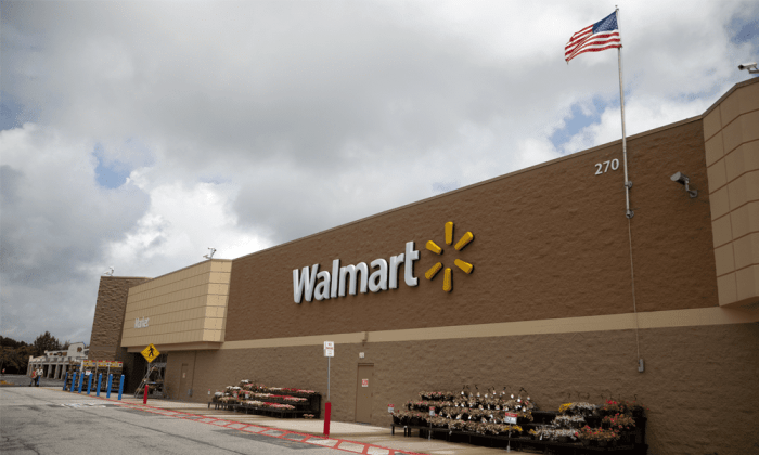 Walmart Travel Basics Under $20