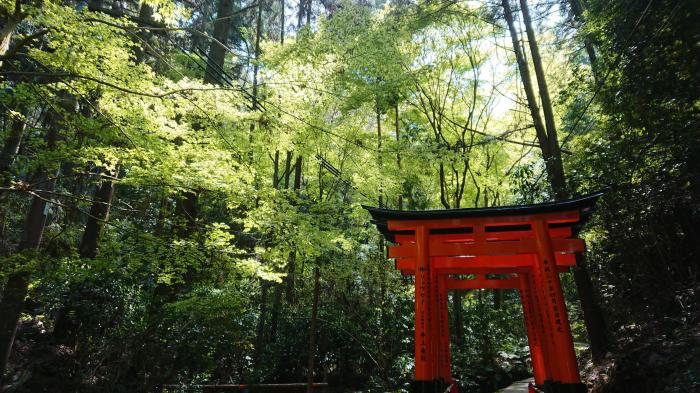 Guide to Fushimi Inari A Travelers Companion