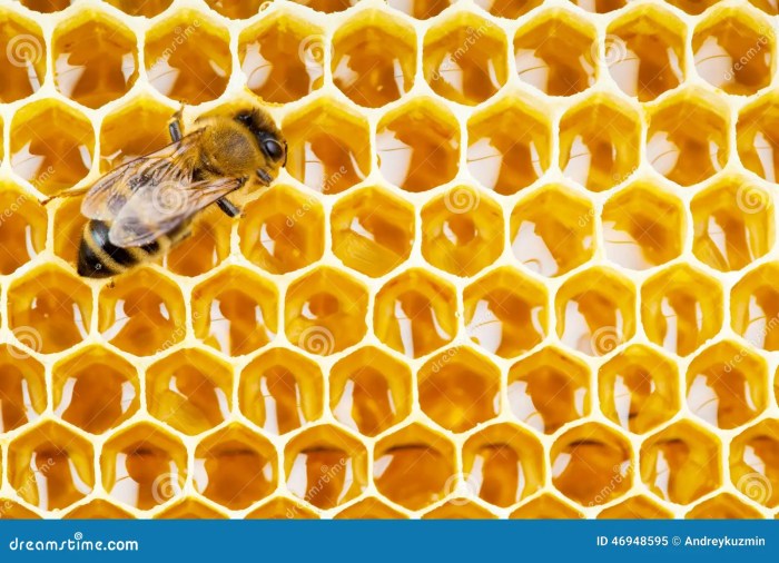 Honeycomb hotel nanjing china