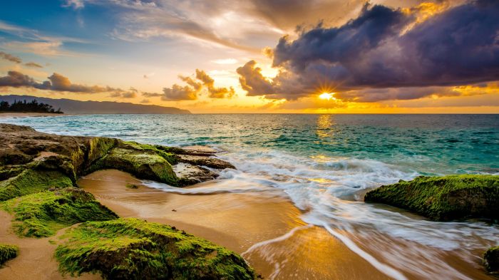 Hawaiis Top US Food Scene