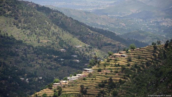 Pakistan: Environmentalists slam '10 billion trees' project – DW – 09 ... Pakistan ten billion trees