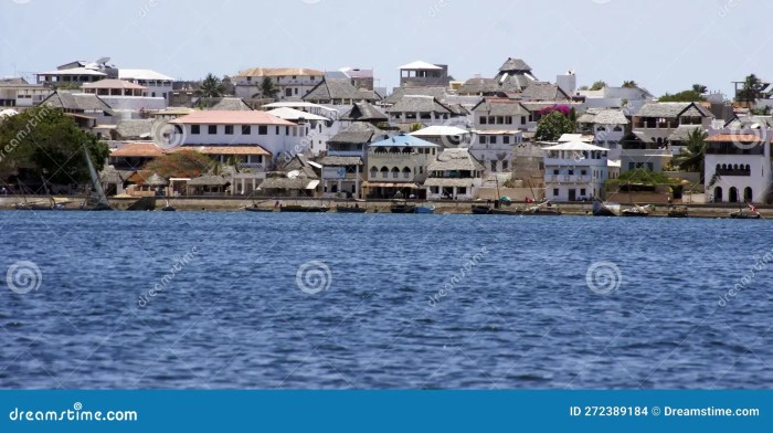 Lamu Island, Kenya 2018 “Without you my life is... - SOME COOL PICS Exploring lamu the islands off the coast of kenya