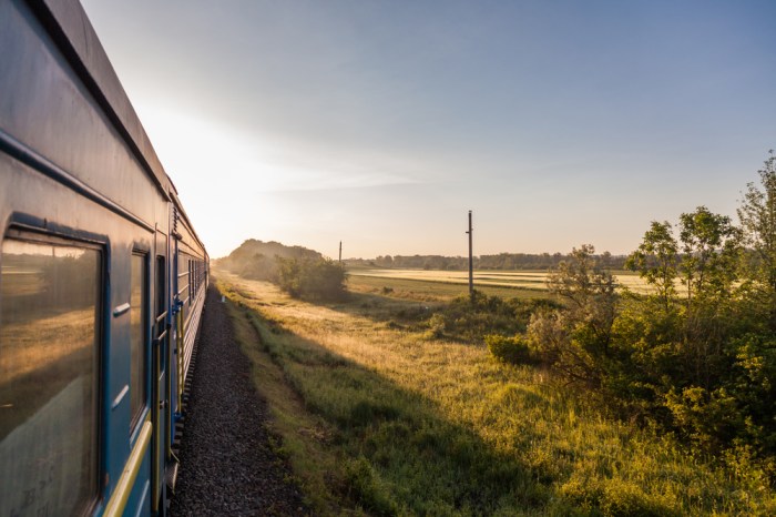 Trans mongolian railroad wildlife friendly corridor