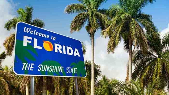 Florida theme park tester