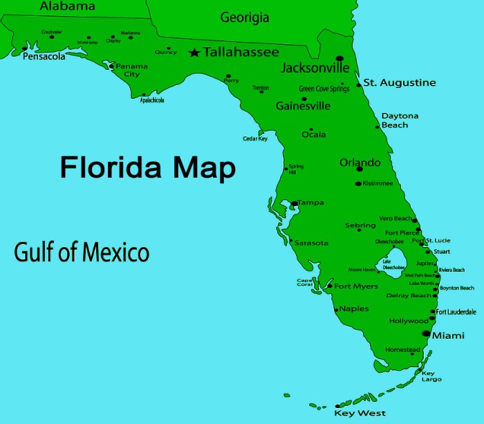 Florida theme park tester