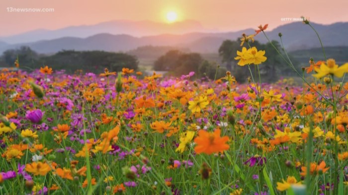 Trip ideas spring vacations spring break ideas for