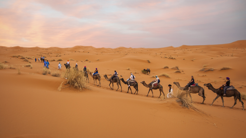 Beyond the Sand and Souks: Unveiling the Thrilling Adventure Tours of the Middle East