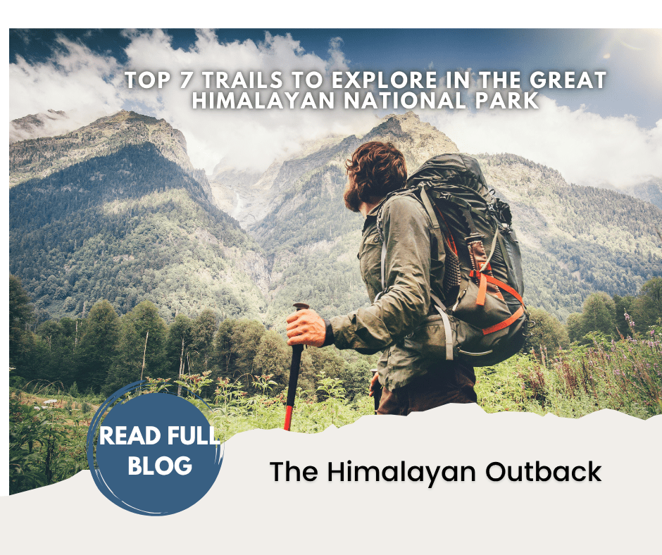 Conquer the Roof of the World: Your Comprehensive Guide to Trekking the Himalayan Trail