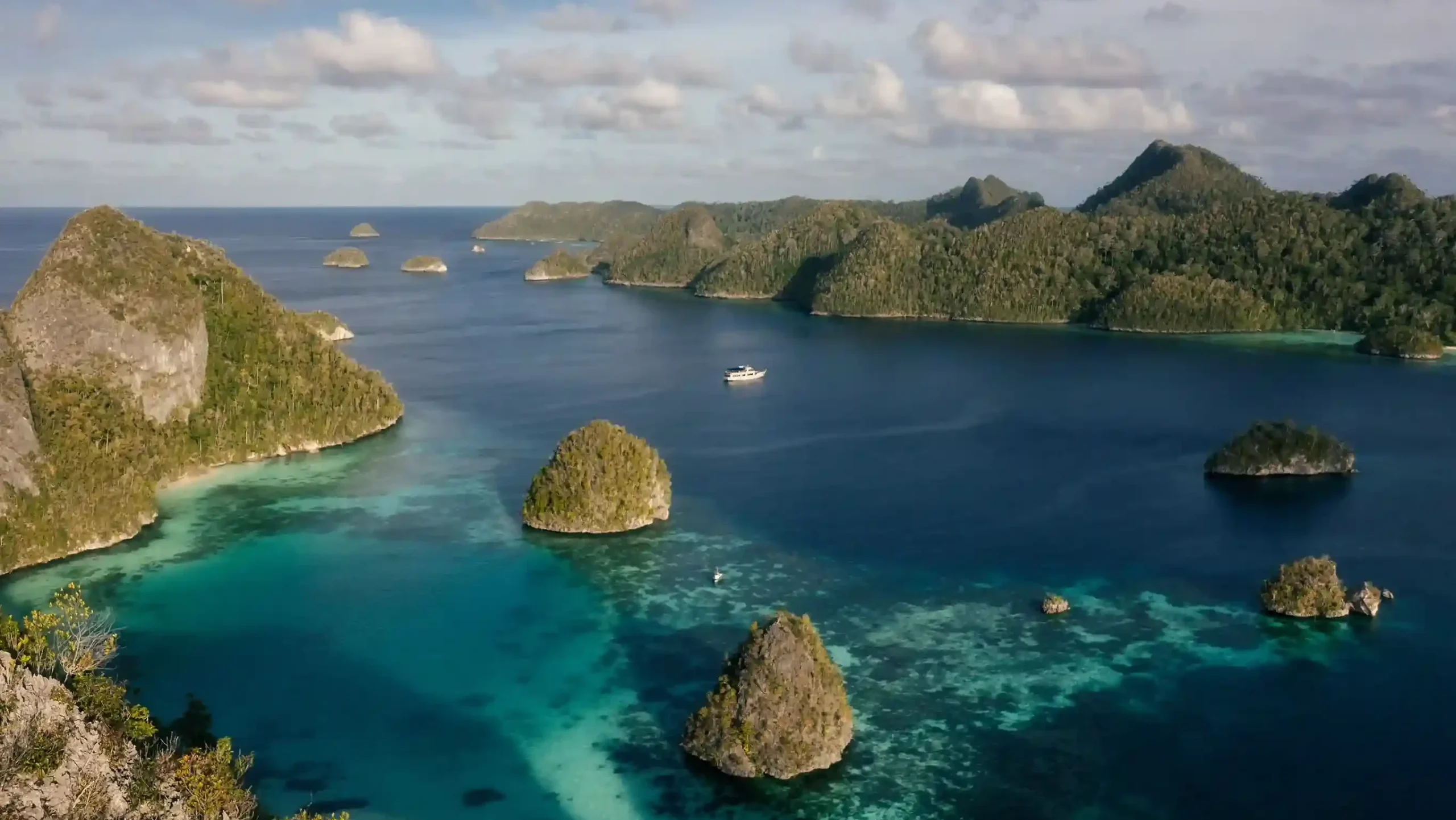 Diving into Paradise: A Comprehensive Guide to Visiting the Raja Ampat Islands
