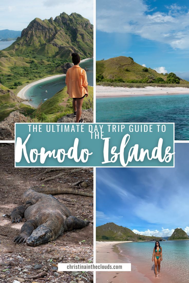 Journey to the Land of Dragons: Your Essential Guide to Komodo National Park