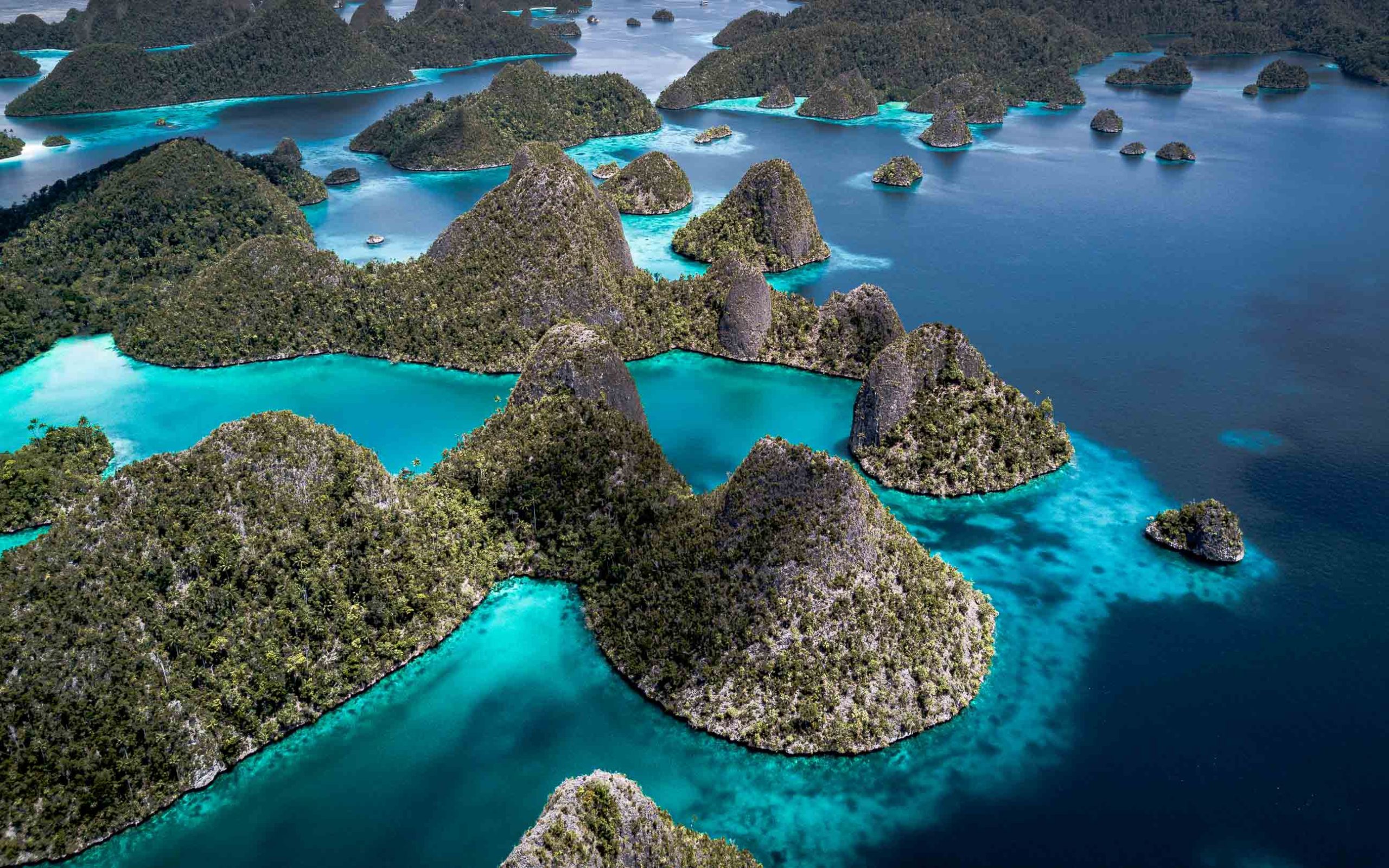 Raja Ampat Islands: A Deep Dive into Paradise