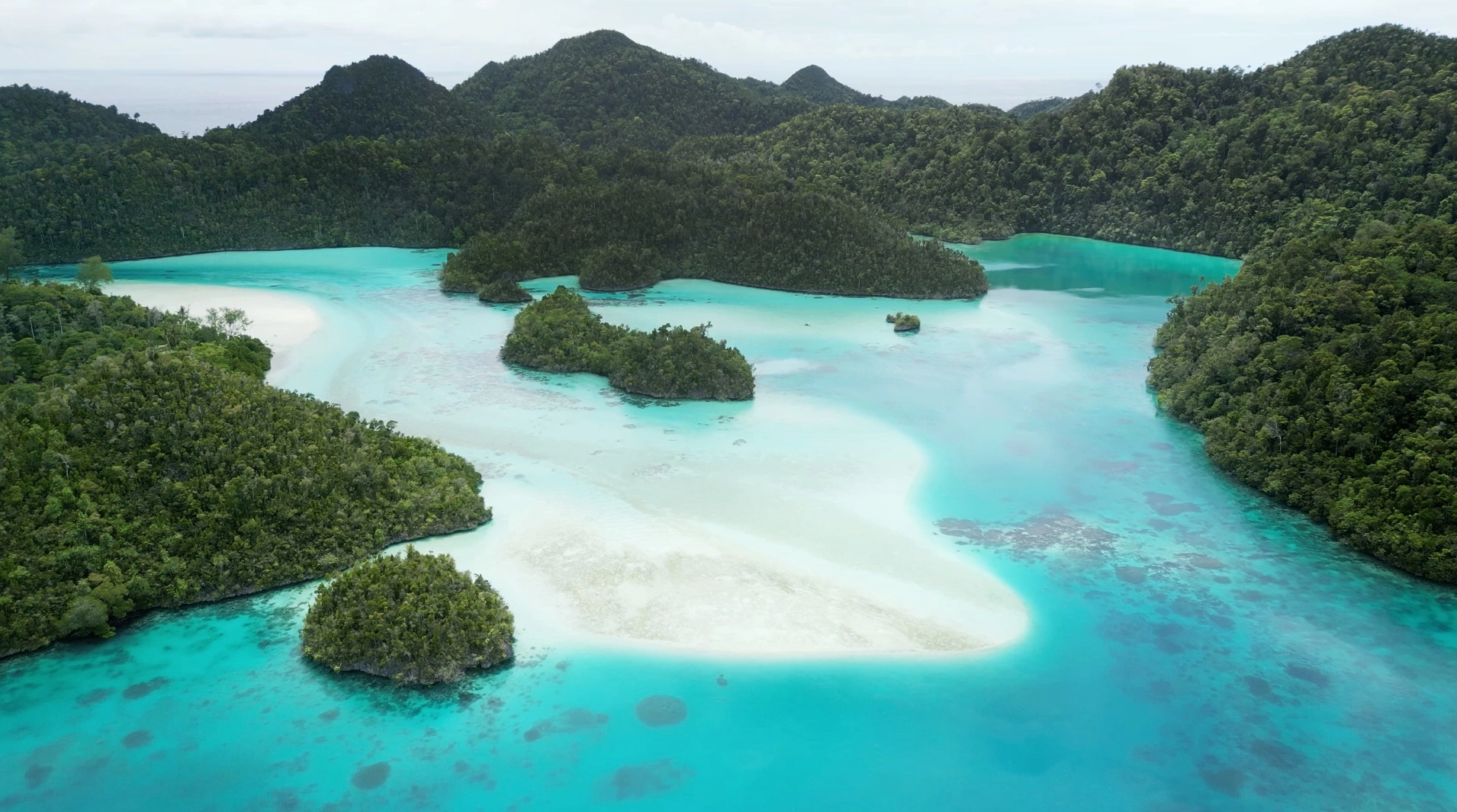 Raja Ampat: Unveiling the Jewels of Indonesia’s Coral Triangle