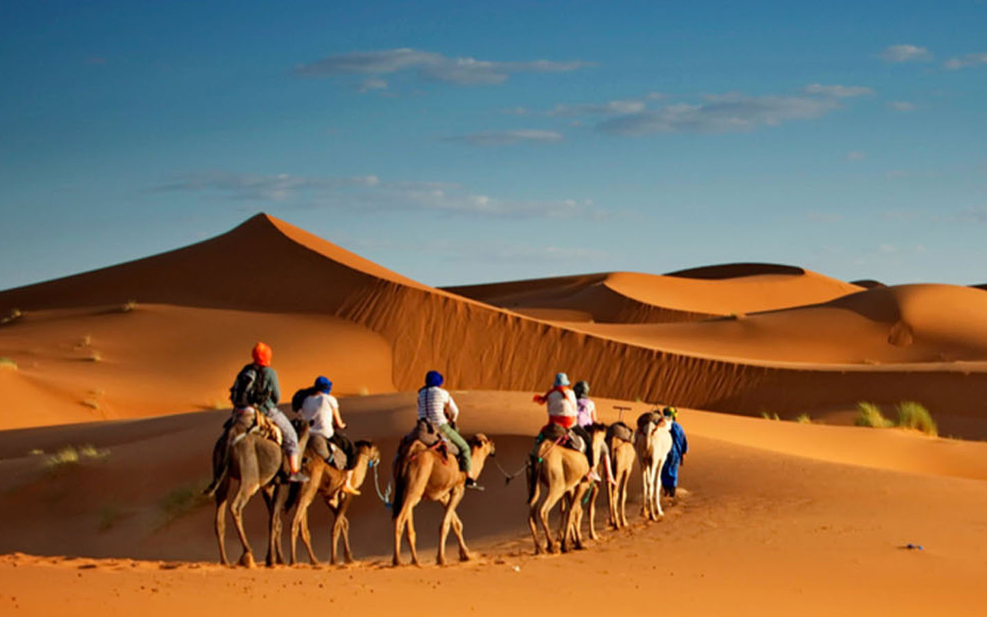 Sands of Time and Thrills: Embarking on Adventure Tours in the Arabian Peninsula