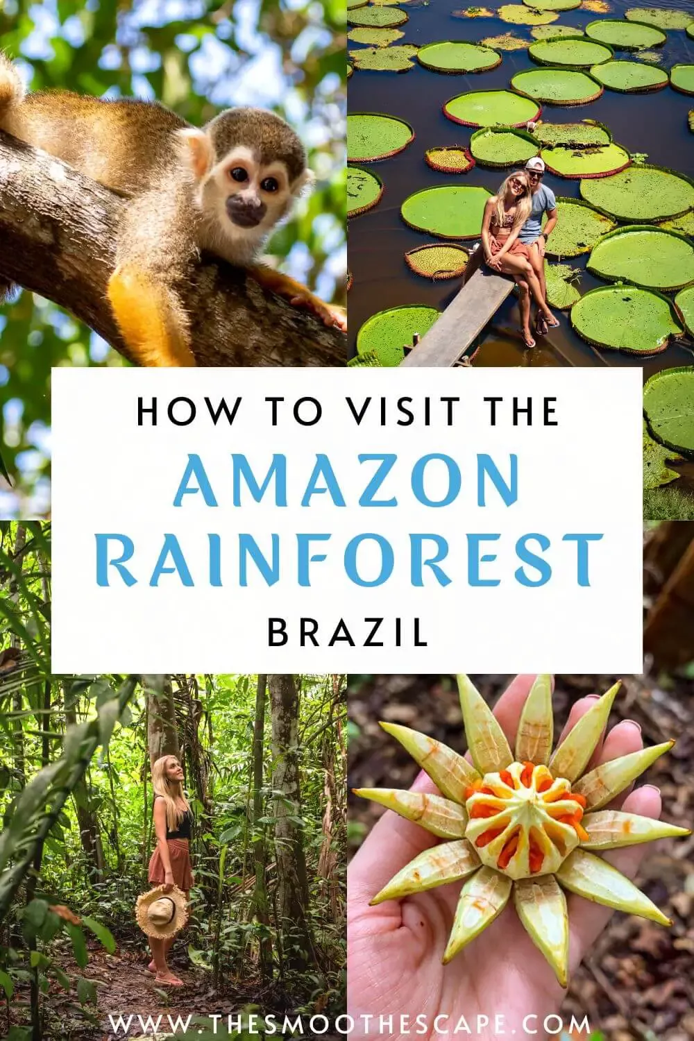 Best Places in Amazon Rainforest For a Memorable Experience