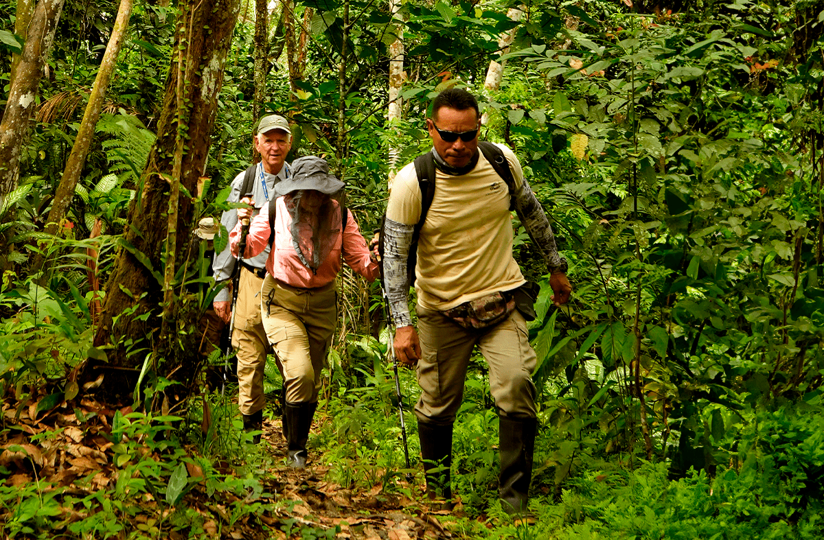 Top Adventure Spots in Amazon Rainforest For a Memorable Experience