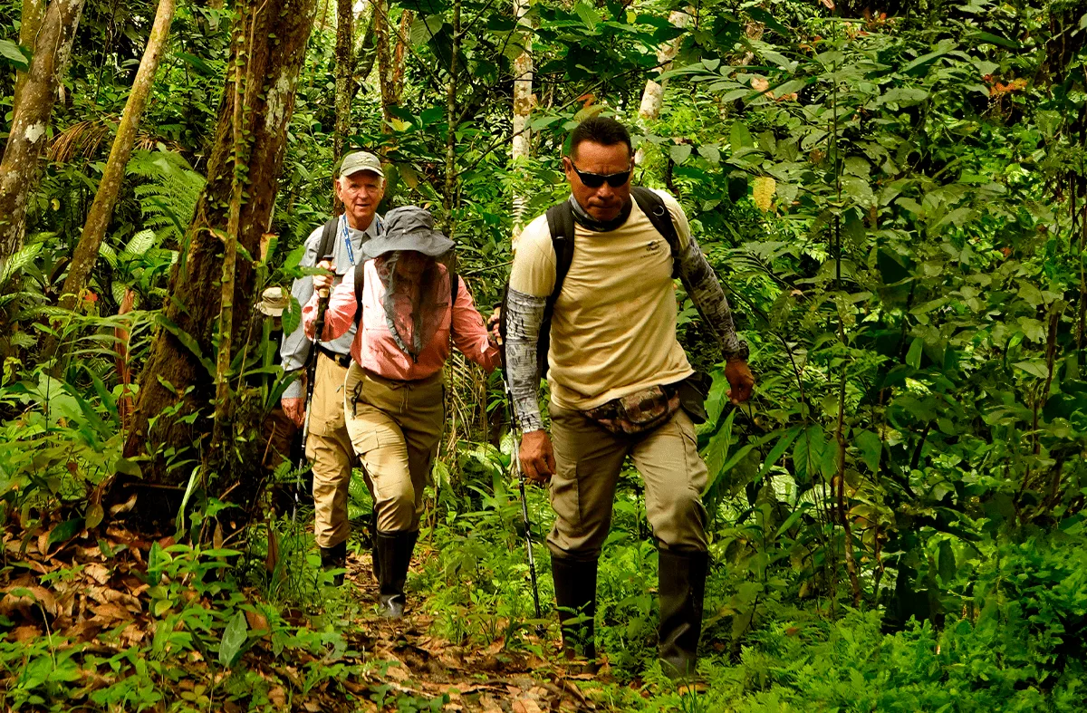 Top Adventure Spots in Amazon Rainforest For a Memorable Experience