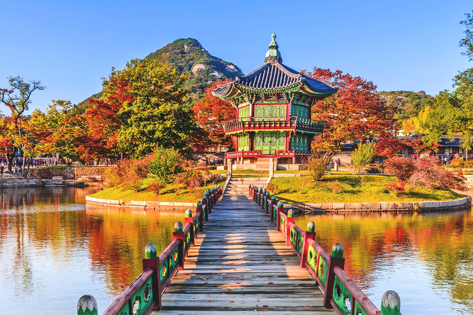 What You Need to Know About South Korea For a Memorable Experience